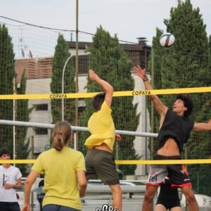 Volley